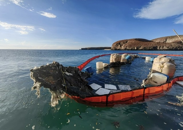 Se vuelve a hundir el yate Fortius en playa Balandra