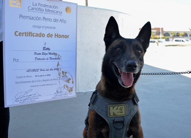 Betty, agente canino recibe reconocimiento