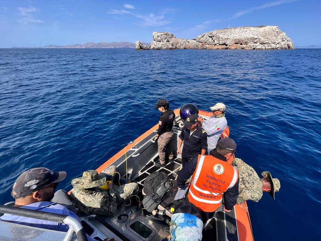 Retiran redes de pesca de refugio de Lobos Marinos