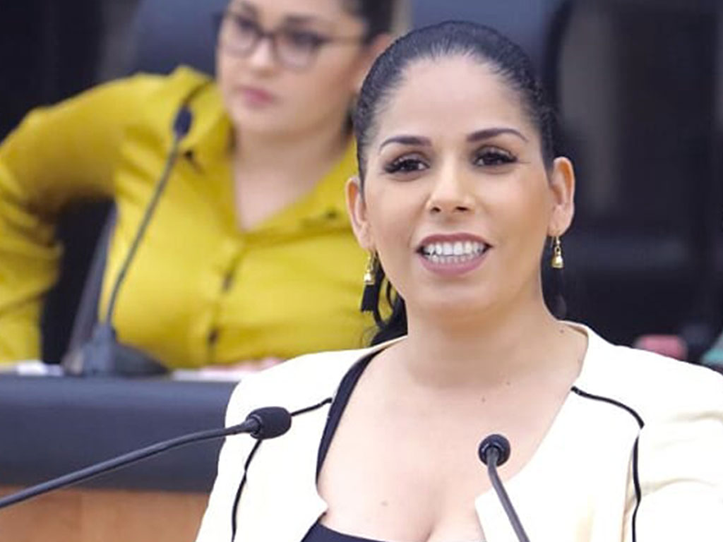 Perla Flores se retira de la Política