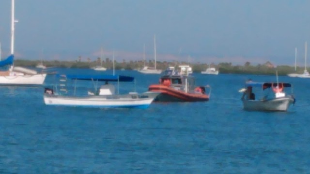 Cadáver flota en la bahía de La Paz