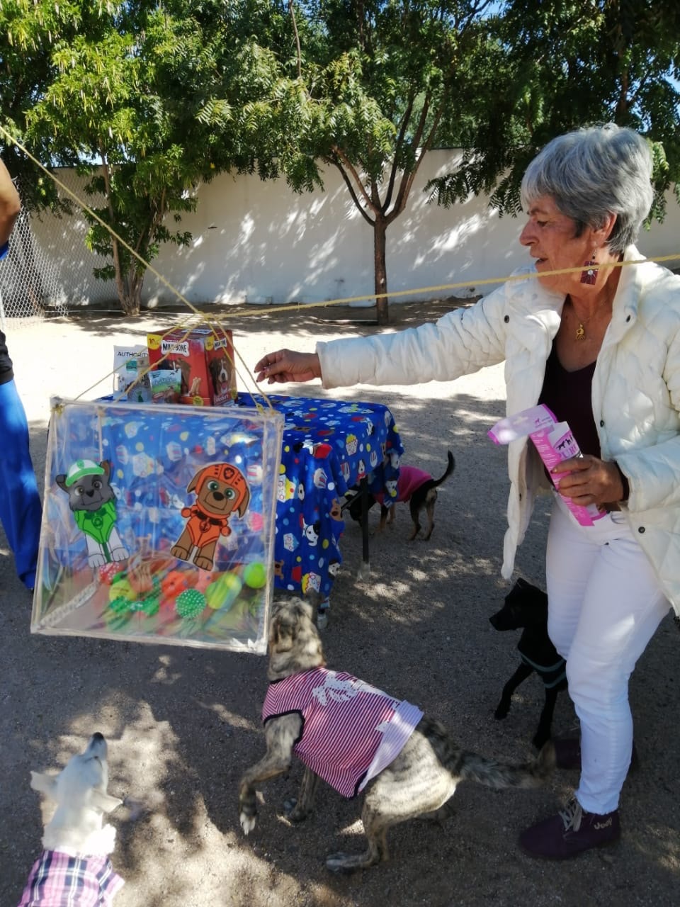 Ayuntamiento de La Paz organiza posada para Perros